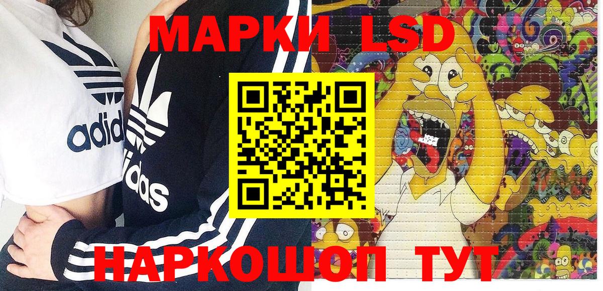Марки N-bome 1,8мг  купить наркоту  Вход с VPN  Заинск  Марки N-bome 1,8мг 