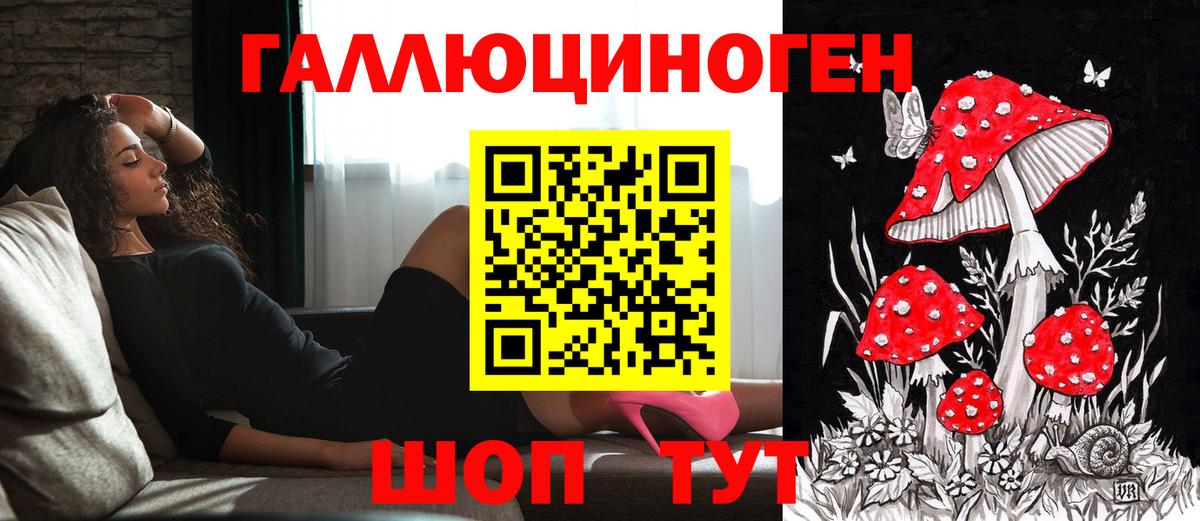 где можно купить   Галлюциногенные грибы Magic Shrooms  Вход с VPN  Заинск 